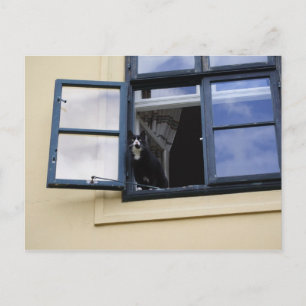 Waarnemer Briefkaart