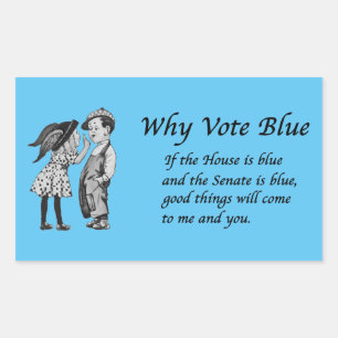 Waarom blauw stemmen in 2026 rechthoekige sticker