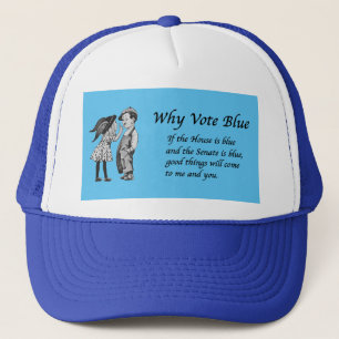 Waarom blauw stemmen in 2026 trucker pet