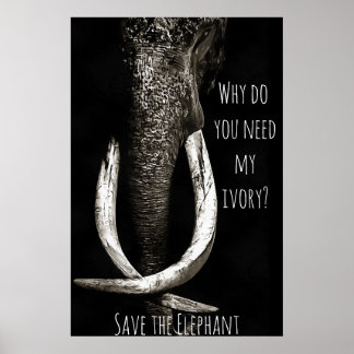 Waarom heb je mijn eiwit zwart en wit olifant nodi poster