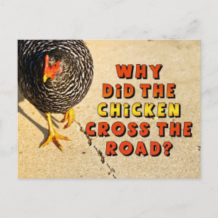 Waarom heeft de Chicken Cross de weg bewandeld? Briefkaart