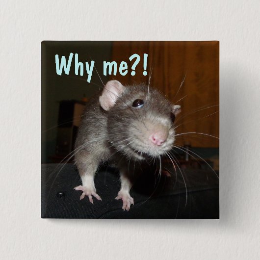 Waarom ik?! Rat badge Vierkante Button 5,1 Cm (Voorkant)