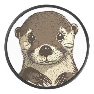 Waarom ik stem hockey puck