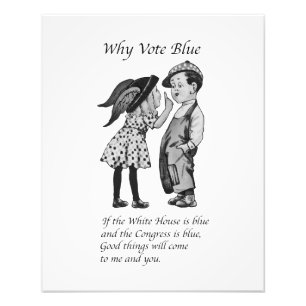 Waarom in 2024 helemaal blauw stemmen foto afdruk