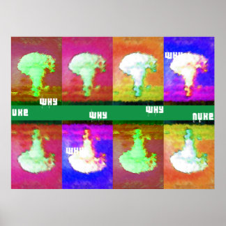 waarom nuke poster