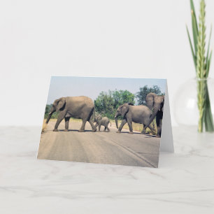 Waarom stak de olifant de weg over? (2) kaart