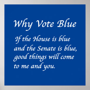 Waarom Stemmen Blauw in 2024 Poster