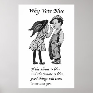Waarom Stemmen Blauw in 2024 Poster