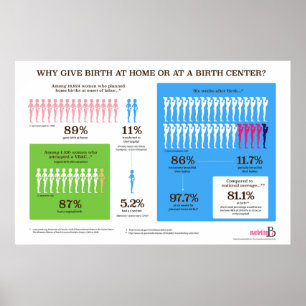 Waarom thuisgeboorte? Poster infografisch 36 x 24