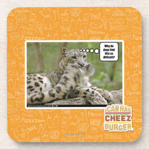 Waarom vinden honden dit zo moeilijk? bier onderzetter