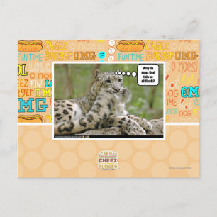 Waarom vinden honden dit zo moeilijk? briefkaart