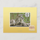 Waarom vinden honden dit zo moeilijk? briefkaart (Voorkant)