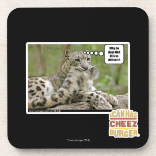 Waarom vinden honden dit zo moeilijk? drankjes onderzetter