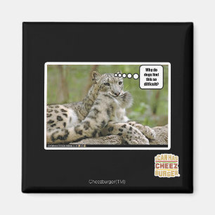 Waarom vinden honden dit zo moeilijk? magneet