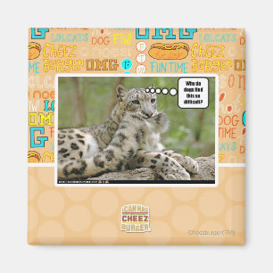 Waarom vinden honden dit zo moeilijk? magneet