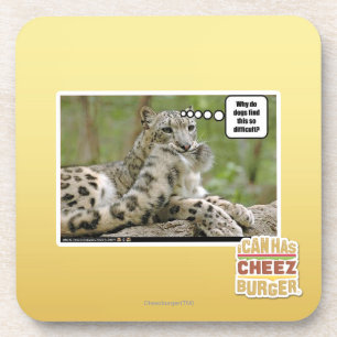 Waarom vinden honden dit zo moeilijk? onderzetter