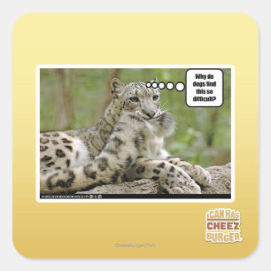 Waarom vinden honden dit zo moeilijk? vierkante sticker