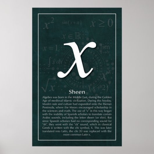 Waarom X? Poster (Voorkant)