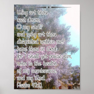 Waarom zijt gij neergeslagen poster