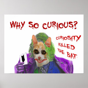 Waarom zo nieuwsgierig? - Crazy Clown Cat Poster
