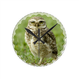 Waarschuwende boomklokklok ronde klok