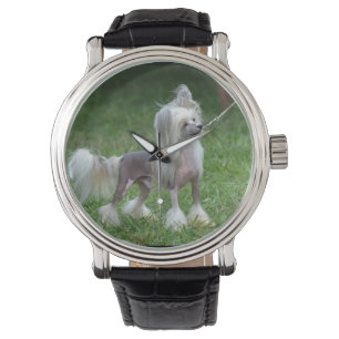 Waarschuwende Chinese Crested Dog Horloge