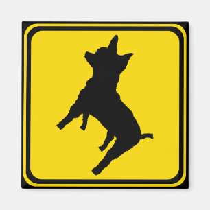 Waarschuwing - Chihuahua Xing! Magneet