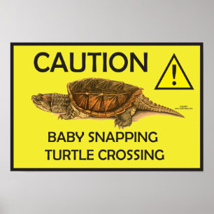 Waarschuwing Snapping Turtle Crossing Poster