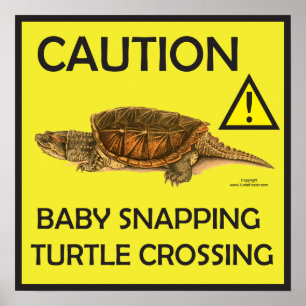 Waarschuwing Snapping Turtle Crossing Poster