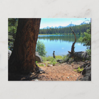 Wabasso Lake Briefkaart