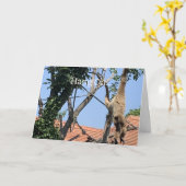 Wacht even, Aap Verjaardag Kaart (Gele Bloem)