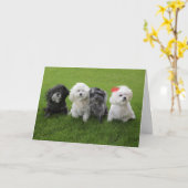 Wacht even kaart (Gele Bloem)