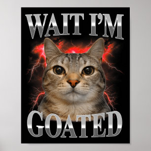 Wacht geitenkat domme grappige kat meme mannen vro poster