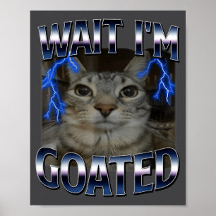 Wacht, ik ben Goated Kat Grappige Kat Meme Mannen Poster