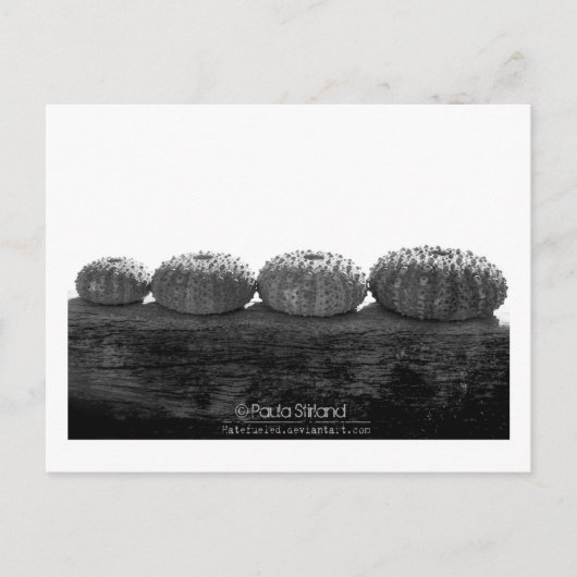 Wacht in lijn briefkaart (Voorkant)