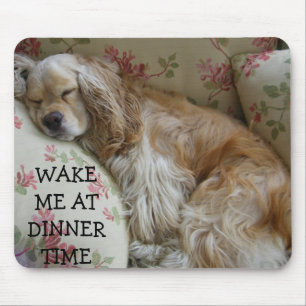 "WACHT ME OP DINNER TIME" MUISMAT