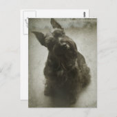 Wachten Briefkaart (Voorkant / Achterkant)