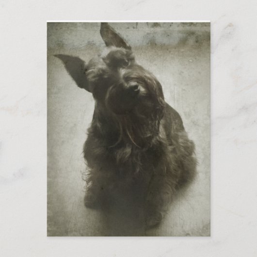 Wachten Briefkaart (Voorkant)