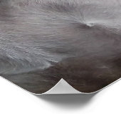 Wachten: De witte doos Poster (Hoek)