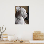 Wachten: De witte doos Poster (Keuken)