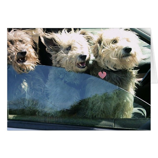 Wachten op Chinees eten (Voorkant Horizontaal)