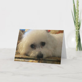 Wachten op de komst van de Kerstman Feestdagen Kaart