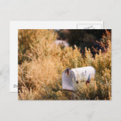 Wachten op de post. briefkaart (Voorkant / Achterkant)