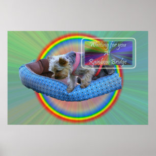Wachten op je bij Rainbow Bridge Poster