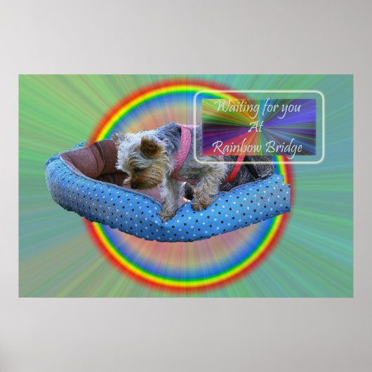 Wachten op je bij Rainbow Bridge Poster (Voorkant)