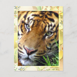 Wachten op jou/je missen briefkaart