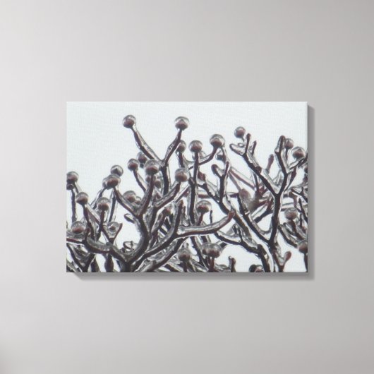 Wachten op lente — Dogwood Tree in Ice Canvas Afdruk (Voorkant)
