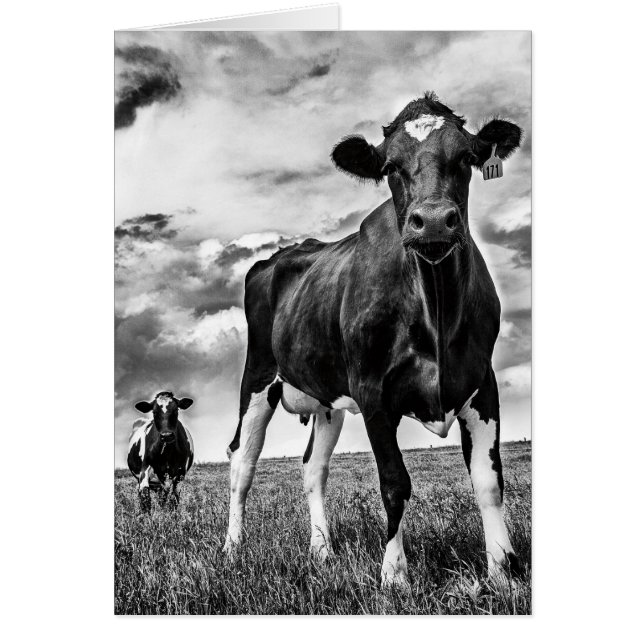 Wachten op uiteinde uiteinde (Voorkant)