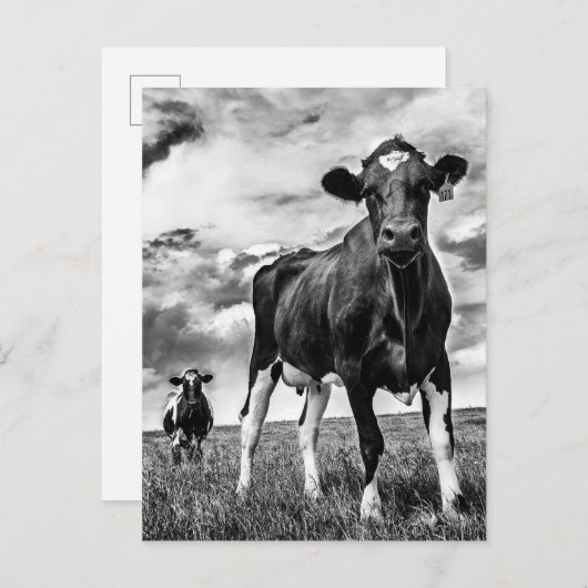 Wachten op uiteinde uiteinde briefkaart (Voorkant / Achterkant)