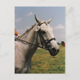 Wachten op uitvoering - Gepersonaliseerd Briefkaart